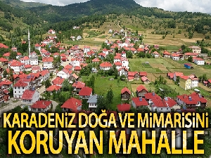 Karadeniz'in doğa ve mimarisini koruyan mahalle: Yeşilce