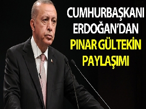 Cumhurbaşkanı Erdoğan'dan Pınar Gültekin paylaşımı