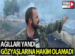 Orman yangınında ağılları yanan vatandaş gözyaşlarına hakim olamadı