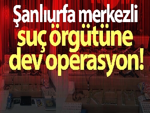 Şanlıurfa merkezli suç örgütüne dev operasyon