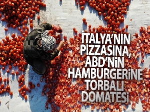 İtalya'nın pizzasına, ABD'nin hamburgerine Torbalı domatesi