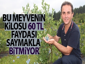 Bu meyvenin kilosu 60 TL, faydası saymakla bitmiyor