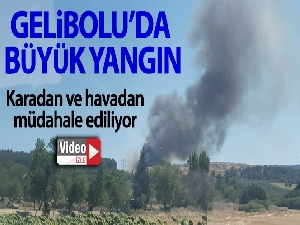Bakan Pakdemirli: 'Orman yangınları kontrol altında'