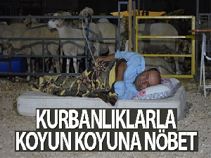 Kurbanlıklarla koyun koyuna nöbet