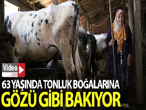 63 yaşındaki kadın tonluk boğalarına gözü gibi bakıyor