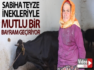 Sabiha Teyze inekleri ile mutlu bir bayram geçiriyor