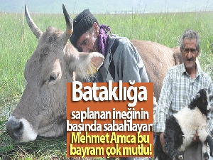 Bataklığa saplanan ineğinin başında sabahlayan Mehmet Amca bu bayram çok mutlu