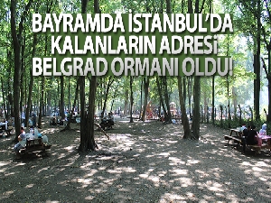Kurban Bayramı'nı İstanbul'da geçirenler Belgrad Ormanı'na akın etti