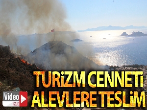 Turizm cenneti alevlere teslim oldu