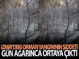 İzmir'deki orman yangınının şiddeti gün ağarınca ortaya çıktı
