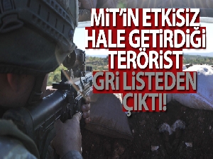 MİT'in etkisiz hale getirdiği terörist gri listeden çıktı