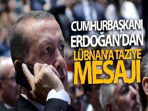 Cumhurbaşkanı Erdoğan, Lübnan Cumhurbaşkanı Mişel Avn ile görüştü