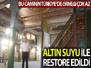Altın suyu kullanılarak restore edildi, Türkiye'de örneği az