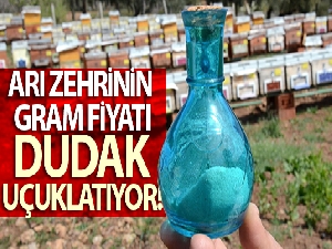 Arı zehrinin gram fiyatı dudak uçuklatıyor