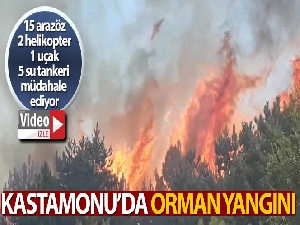 Kastamonu'daki orman yangını söndürüldü