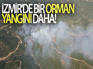 İzmir'de bir orman yangını daha!