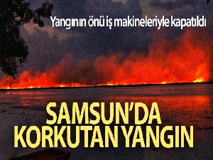 Samsun'da yangın!