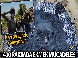 1.400 rakımda kan ter içinde ekmek mücadelesi