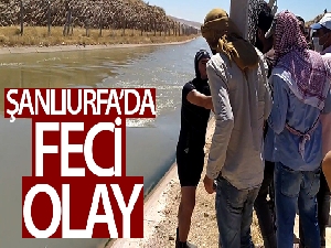 Şanlıurfa'da feci olay