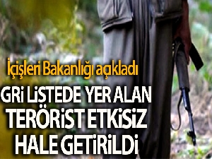 MİT'in etkisiz hale getirdiği terörist gri listeden çıktı