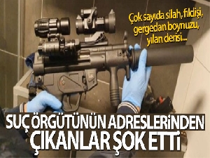 Suç örgütünün adreslerinden çıkanlar şok etti