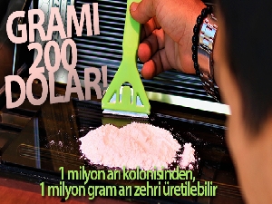Gramı 200 dolar