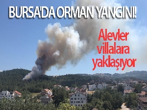 Bursa'daki orman yangını kontrol altına alındı!