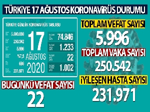 Türkiye'de son 24 saatte 1233 kişiye koronavirüs tanısı konuldu, 22 kişi hayatını kaybetti