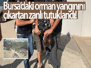 Bursa'daki orman yangınını çıkartan zanlı tutuklandı