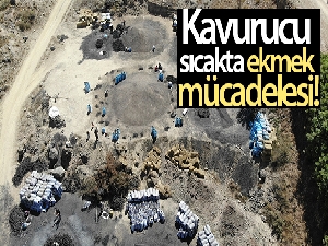 Kavurucu sıcakta kan ter içinde ekmek mücadelesi