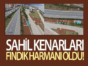 Fındığını kurutmak için bazı üreticiler sahil yolunu bazıları ise Bayburt'u mesken tuttu