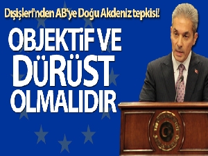 Dışişleri'nden AB'ye Doğu Akdeniz tepkisi!