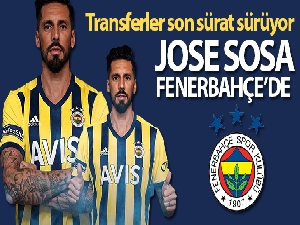 Jose Sosa, Fenerbahçe'de