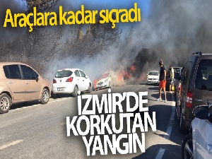 İzmir'de yangın dehşeti: Otluk alanda çıkan yangında onlarca araç alev alev yandı