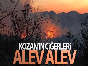 Adana'da orman yangını!