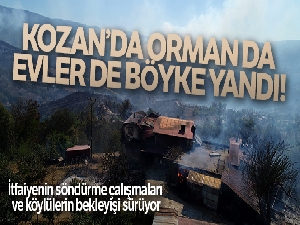 Kozan'da orman da evler de böyle yandı