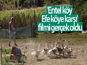 'Entel köy Efe köye karşı' filmi gerçek oldu