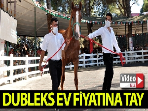 Dubleks ev fiyatına tay