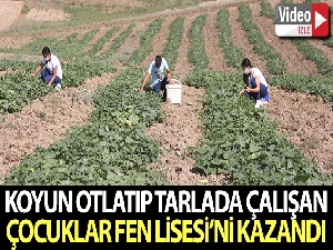 Koyun otlatıp, tarlada çalışan çocuklar fen lisesini kazandı
