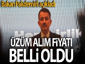 Bakan Bekir Pakdemirli, yeni sezon üzüm alım fiyatını açıkladı