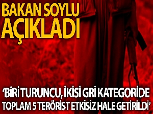 5 düzensiz göçmen yakalandı
