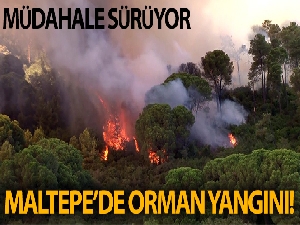 İstanbul Valiliği: 'Maltepe'deki orman yangını kontrol altına alındı'