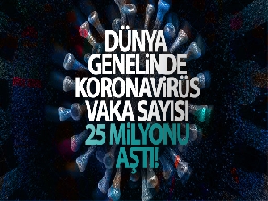 Dünya genelinde korona virüs vaka sayısı 25 milyonu aştı