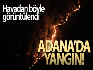 Adana'daki orman yangını havadan görüntülendi