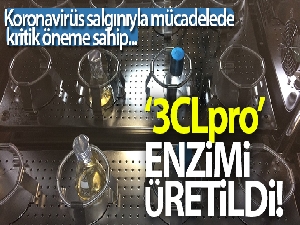 Koronavirüs salgınıyla mücadelede kritik öneme sahip '3CLpro' enzimi üretildi