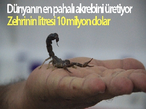 Dünyanın en pahalı akrebini üretiyor