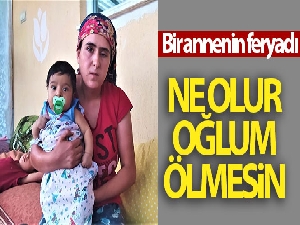 Bir annenin feryadı: 'Ne olur oğlum ölmesin'