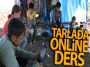 Tarlada online ders