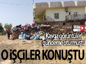 Sakarya'da bahçe sahibi ile kavga eden fındık işçileri konuştu