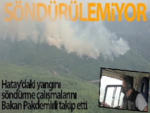 Bakan Pakdemirli, havadan ve karadan orman yangınını inceledi